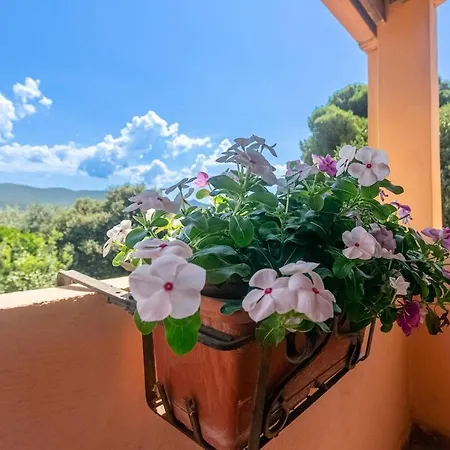 Casa Pighetti בית נופש Quartu SantʼElena